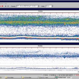 Скопление килек в пелагиали на больших глубинах. Изображение от пресс-службы КаспНИРХ