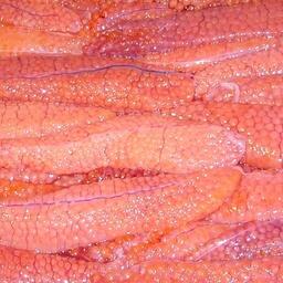 Производство ястычной икры на Дальнем Востоке. Архивное фото