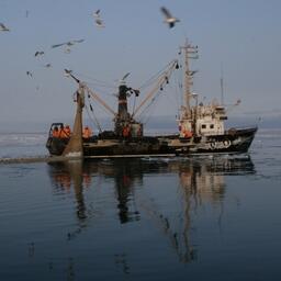 Прибрежный лов на Сахалине