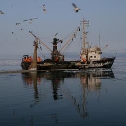 Прибрежный лов на Сахалине
