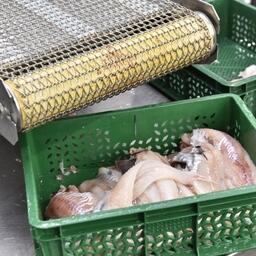 Для второго этапа инвестквот предусмотрели конфигурацию «рыбоперерабатывающий комплекс» — береговой объект плюс флот