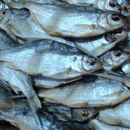 Вобла на рынке Астраханской области