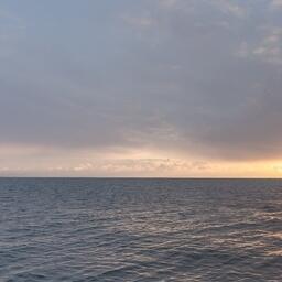 ​В Дальневосточной рыбопромышленной управляющей компании рассказали о восстановлении работы РК «Восток-1»