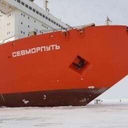 Атомный контейнеровоз «Севморпуть» совершил первый рейс по программе поддержки перевозки грузов по арктической трассе. Фото пресс-службы «Атомфлота»