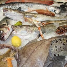 Импортная продукция позволяет разнообразить ассортимент рыбных товаров для россиян