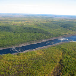 Пороги на реке Вилюй. Фото Tundruk («Википедия»). Файл доступен по лицензии Creative Commons Attribution-Share Alike 1.0 Generic
