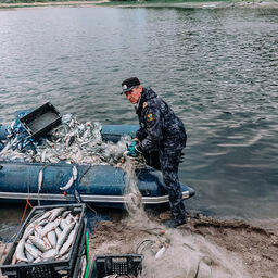 Фигурантов планируют привлечь к уголовной ответственности. Фото пресс-службы Нижнеобского теруправления Росрыболовства