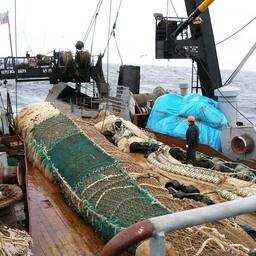 Рыбный промысел на Дальнем Востоке