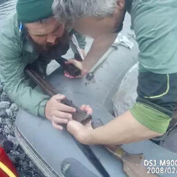 У нарушителей изъяли двустволку 12 калибра и патроны. Фото пресс-службы Кроноцкого государственного заповедника 