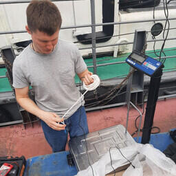 Электронные весы будут передавать данные по Wi-Fi. Фото пресс-центра регионального департамента АПК