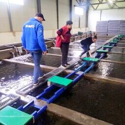 Эксперимент проводился на ЛРЗ Сахалинского филиала Главрыбвода. Фото пресс-службы ВНИРО