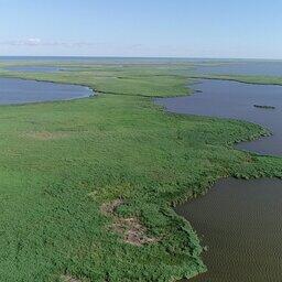 В Краснодарском крае значительно улучшилось экологическое состояние Жестерской группы азовских лиманов. Фото пресс-службы АзНИИРХ