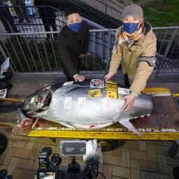 На токийском рыбном рынке Тоёсу в ходе традиционного новогоднего аукциона продали голубого тунца за рекордные 36,04 млн иен (около 273 тыс. долларов). Фото информагентства KYODO