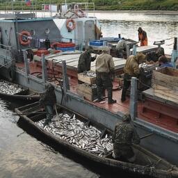 Ямал завершает разработку регионального аналога электронного промыслового журнала. Фото пресс-службы правительства ЯНАО
