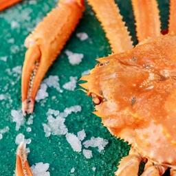 Минсельхоз предложил обновить порядок получения сертификата происхождения для поставок крабов и продукции из них в Южную Корею. Фото предоставлено компанией «Антей»