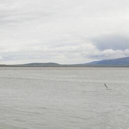 Побережье Чукотки