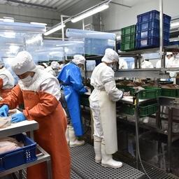 Правительство закрепило за Россельхознадзором полномочия по обследованию предприятий для поставок в другие страны