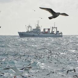 Закон об ЭПЖ и электронных разрешениях, принятый Госдумой, отражает позицию рыбацкого сообщества и учитывает особенности и сроки регулирования промысла, отметили в ВАРПЭ