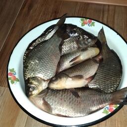 Карася здесь очень уважают