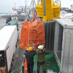 Обновлен список российских поставщиков рыбы и рыбной продукции