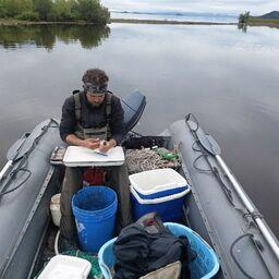 Ученые исследовали гольцов в Кроноцком озере и бассейне реки Камчатка. Фото Григория Маркевича