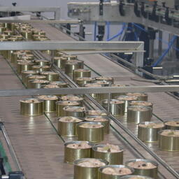 Производители рыбных консерв смогут претендовать на господдержку