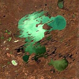 Озеро Чаны, на котором расположен один из выставленных на аукцион участков. Фото European Space Agency