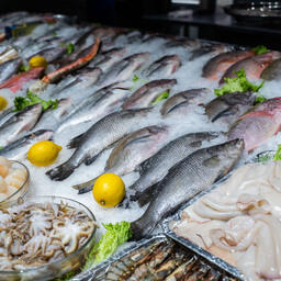 ЕС обновил список открытых рыбных портов. Фото НЦБРП