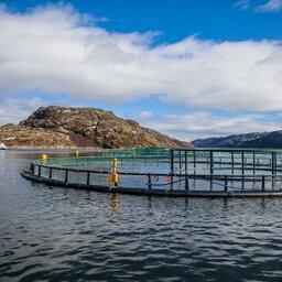 Лососевые садки в Мурманской области