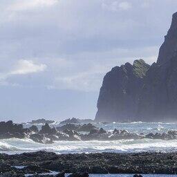 Ученые вновь наведались к антурам на остров Медный. Фото пресс-центра нацпарка «Командорские острова»