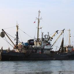 Основной объем вылова традиционно приходится на Дальний Восток