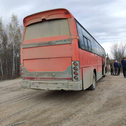 Икру нашли при досмотре маршрутного автобуса. Фото пресс-службы УМВД России по Хабаровскому краю