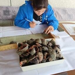 Работа с образцами рапаны. Фото пресс-службы АзНИИРХ