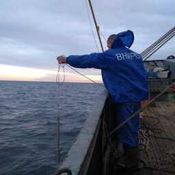 Специалисты исследовали не только рыбные популяции, но и их среду обитания. Фото пресс-службы АзНИИРХ