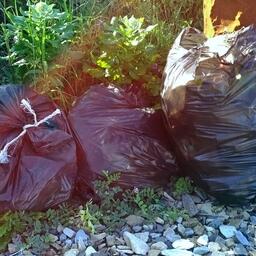 Мэрам рекомендовали не забывать, что уборка побережья от последствий замора — обязанность муниципалитета