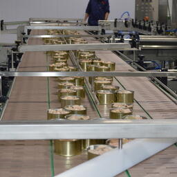 В Томской области рыбопереработчикам помогут субсидиями