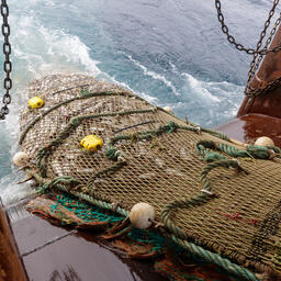 Промысел на Севере. Фото предоставлено пресс-службой Архангельского тралового флота