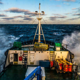 С 9 января вступают в силу изменения федерального закона о рыболовстве, предусматривающие новый этап распределения инвестиционных квот и крабовых аукционов