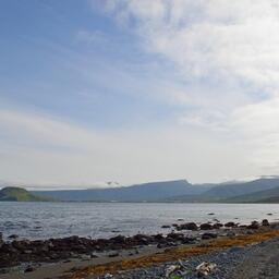 Победители аукциона получат квоты на Северных Курилах под строительство перерабатывающего завода