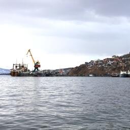 Законодательное собрание Камчатского края направило в Госдуму поправки к законопроекту о перераспределении квот вылова