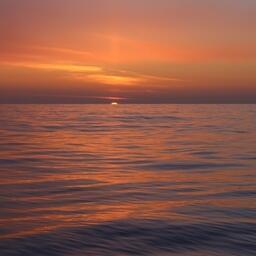 Более 100 государств взяли на себя добровольные обязательства по сохранению или защите не менее 30% Мирового океана к 2030 г.