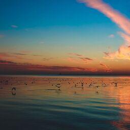Азовское море. Фото SonyaPiece («Википедия»). Файл доступен по лицензии Creative Commons Attribution-Share Alike 4.0 International