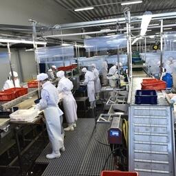 В CIFER, в частности, зарегистрировался завод «Русский минтай»