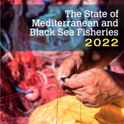 Доклад подготовила Генеральная комиссия по рыболовству в Средиземном море при Продовольственной и сельскохозяйственной организации Объединенных Наций (ФАО)