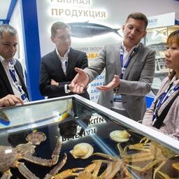 Большое внимание привлекал аквариум с живыми крабами от «Антея»