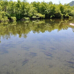 Озеро Начикинское. Фото пресс-службы правительства Камчатки