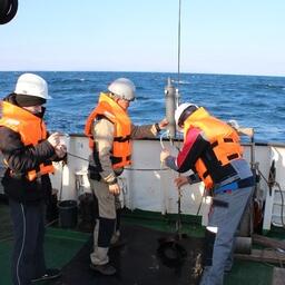 Экспедиция НИС «Профессор Гагаринский» в Японском море, отбор проб воды из батометра. Фото пресс-службы Тихоокеанского океанологического института имени В.И. Ильичева