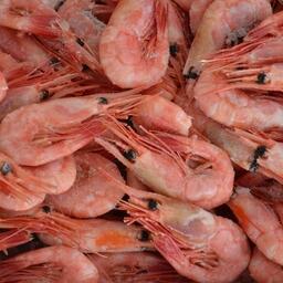 Варено-мороженая северная креветка, добытая в российских водах