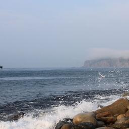 Росрыболовство рассчитывает на оперативное принятие всех нормативно-правовых актов, предусмотренных изменениями закона о рыболовстве