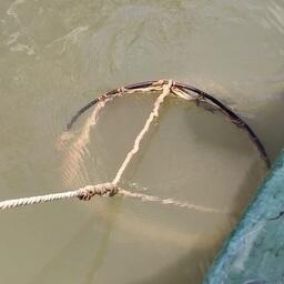 Ученые провели обловы водоемов икорной сетью. Фото пресс-службы АзНИИРХ